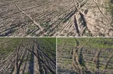 Crossami jeździli po polach. Rolnicy szukają świadków i poszkodowanych
