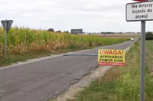 tablica informująca o strefie, gdzie występuje ASF