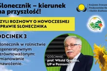 Podcast słonecznik baner