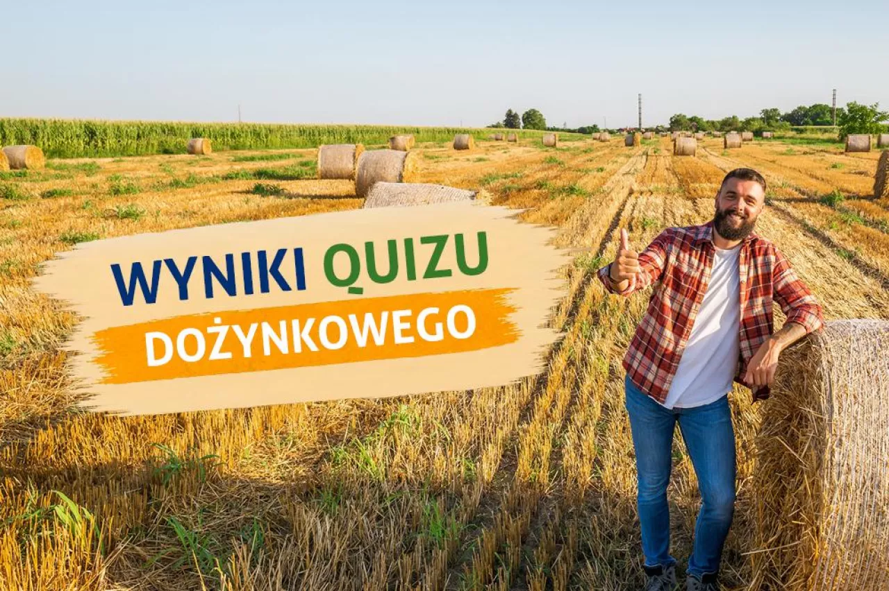 konkurs dożynki