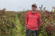 Paweł Niezgódka, plantacja aronii