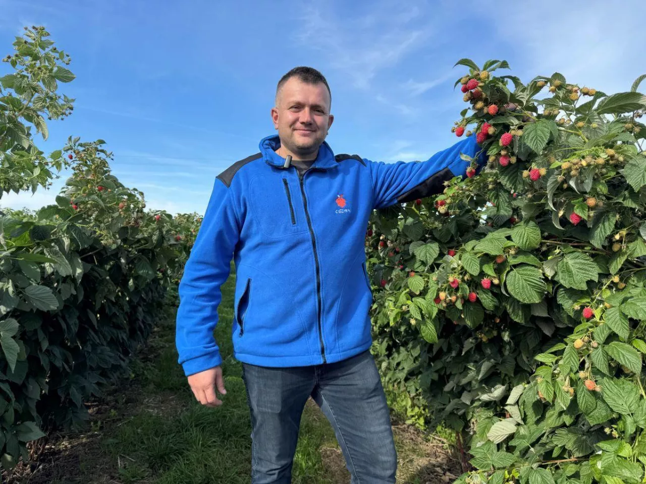 Łukasz Cielma, plantator m.in. malin letnich i jesiennych