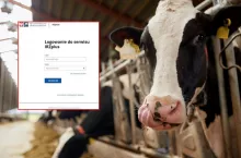 Coraz mniej czasu na aktualizację danych w IRZplus. Co i do kiedy rolnicy muszą przekazać ARiMR?