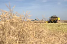 Kto dziedziczy gospodarstwo po bezdzietnym rolniku?