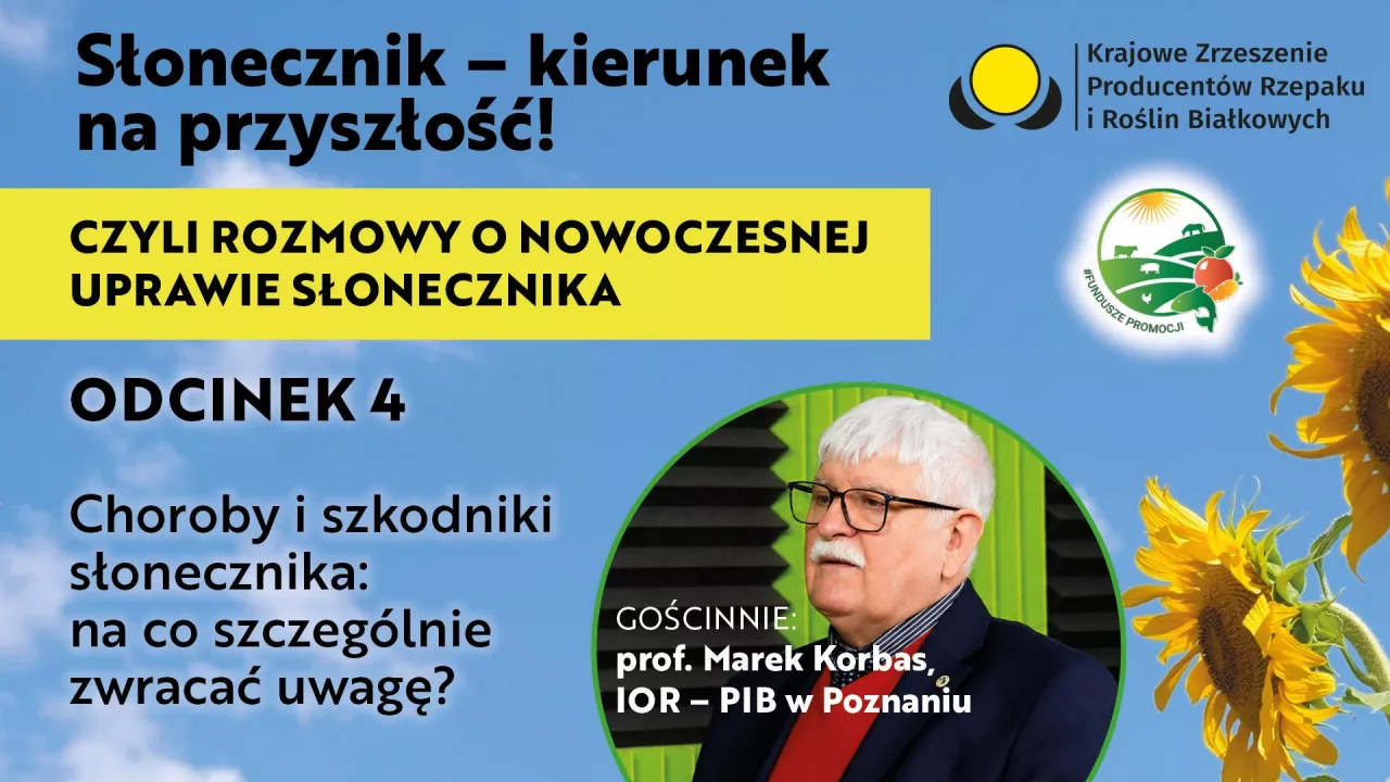 Baner Słonecznik kierunek na przyszłość odc. 4. Marek Korbas 