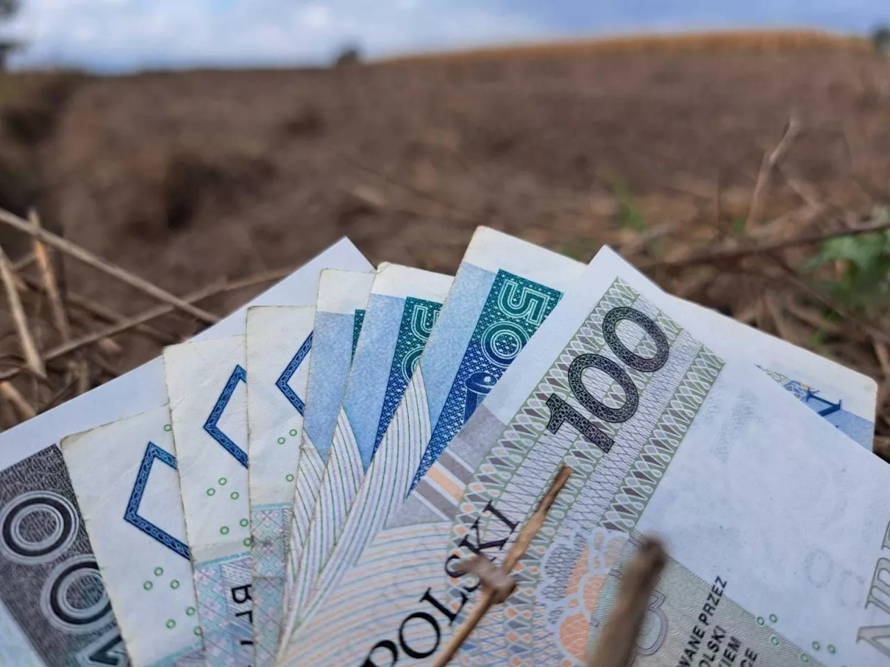 Wcześniejsza wypłata dopłat to dla gospodarstwa zastrzyk gotówki, ale przy bieżących kosztach pieniądze szybko znajdują przeznaczenie