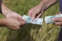 Agroturystyka prowadzona przez rolniczkę – jakie podatki obowiązują?
