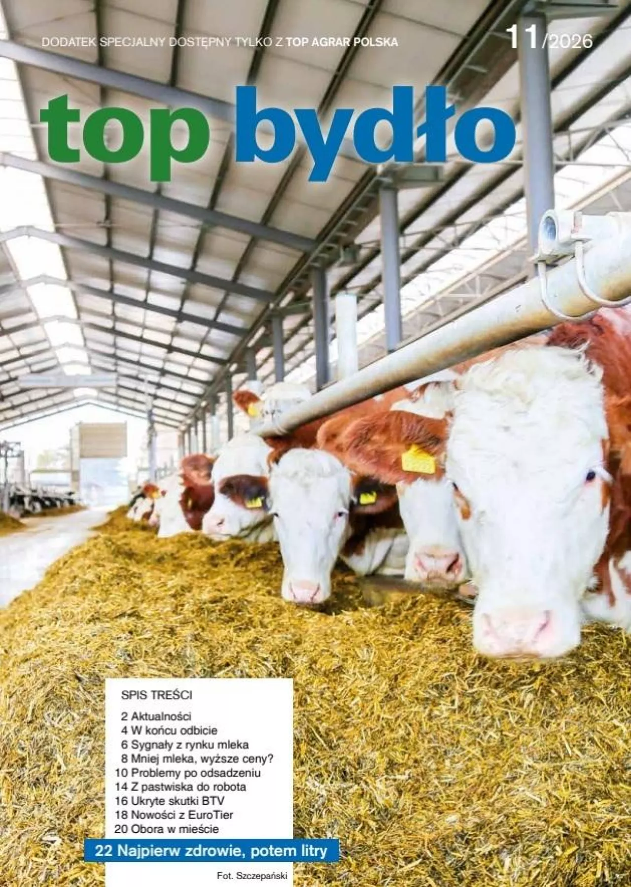 okłada top bydło
