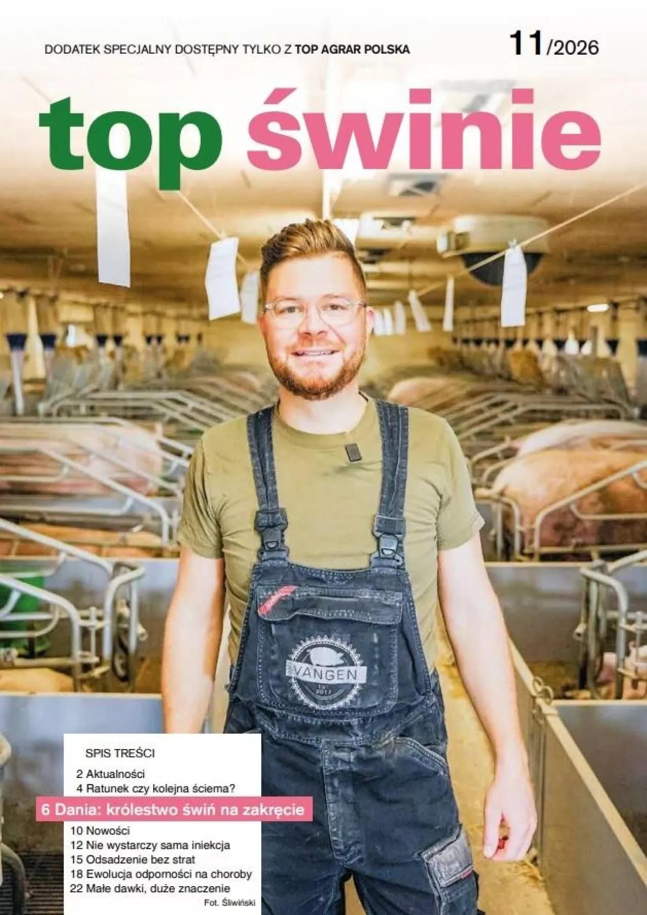 top świnie