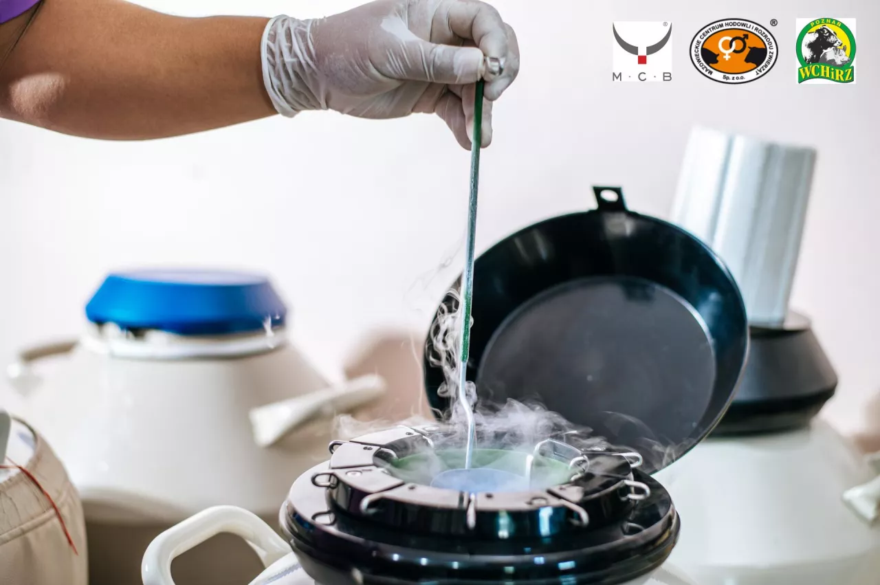 Close up hand of researcher testing in a laboratory. Modern technologies in agriculture management, agribusiness and research concept.