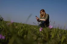 rolniczka na polu sprawdza informację w telefonie