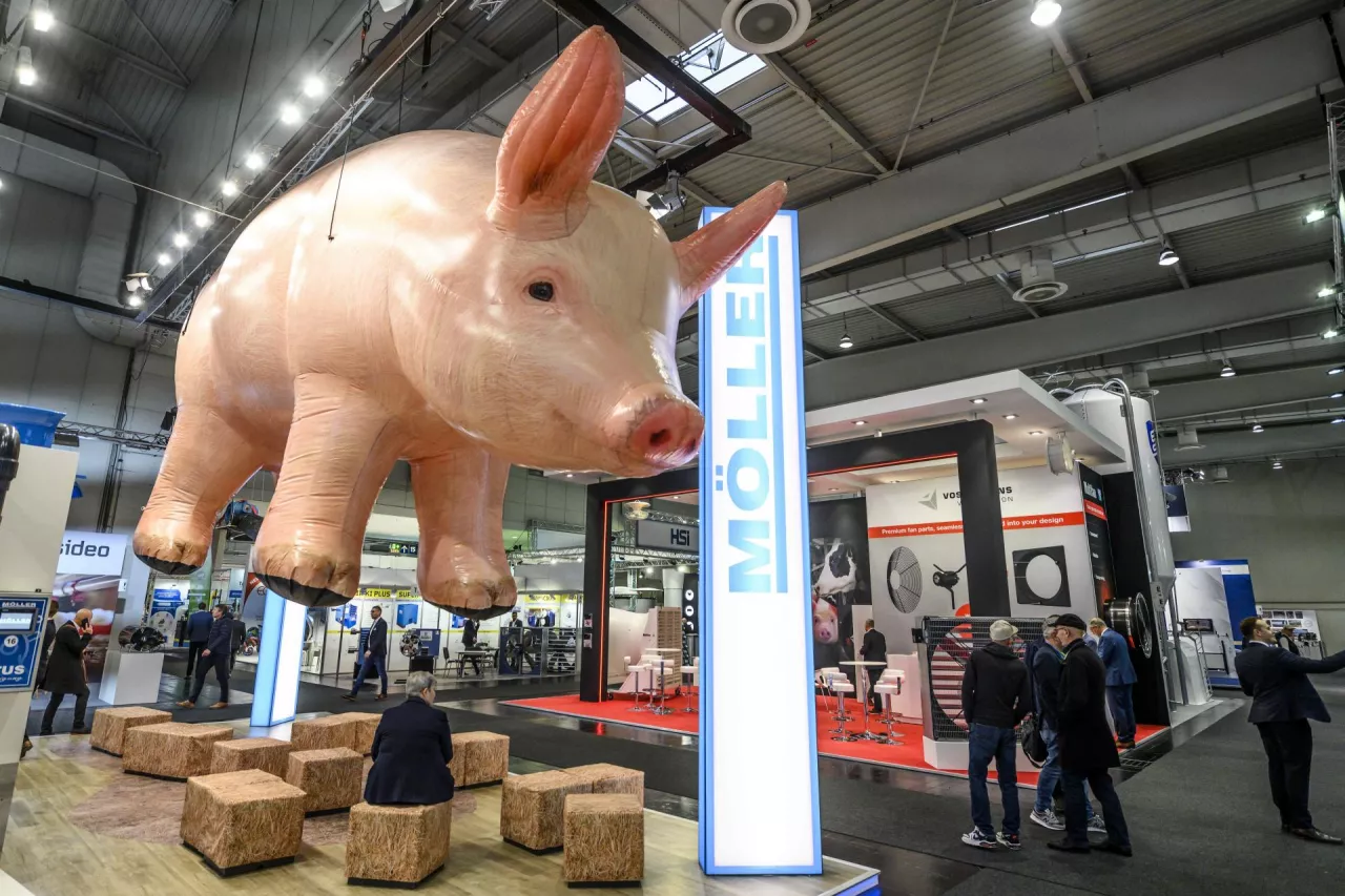 EuroTier 2024, 13.11.2024, Hannover. Foto: Swen Pförtner 