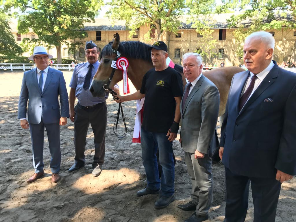 Obrazek