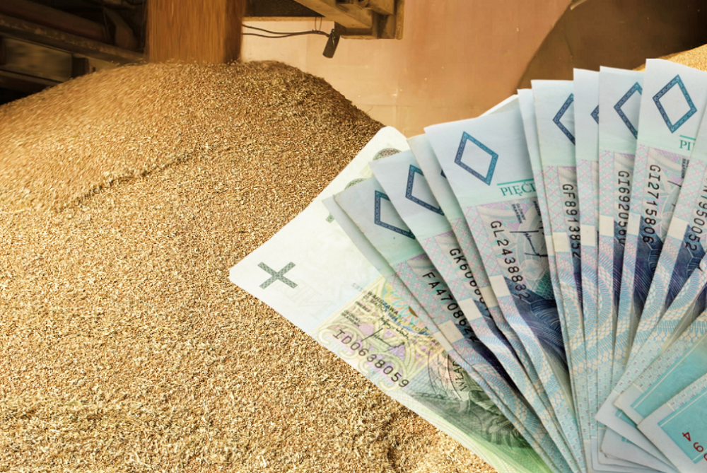 Dopłaty Do Materiału Siewnego 2019 Stawki Wycofać czy nie? Do kiedy można składać wnioski o dopłaty do materiału
