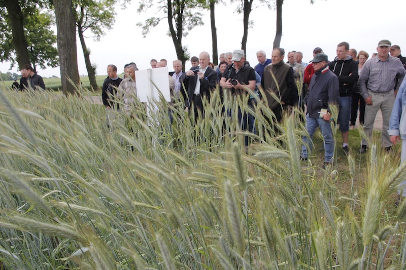 Dzień pola Danko HR w Laskach