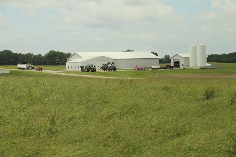 Zabudowania farmy Jamiego Scotta – w jednej hali są maszyny i traktory oraz magazyn środków ochrony roślin i nawozów.