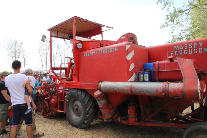 W towarzystwie traktorów stary kombajn Massey Ferguson.