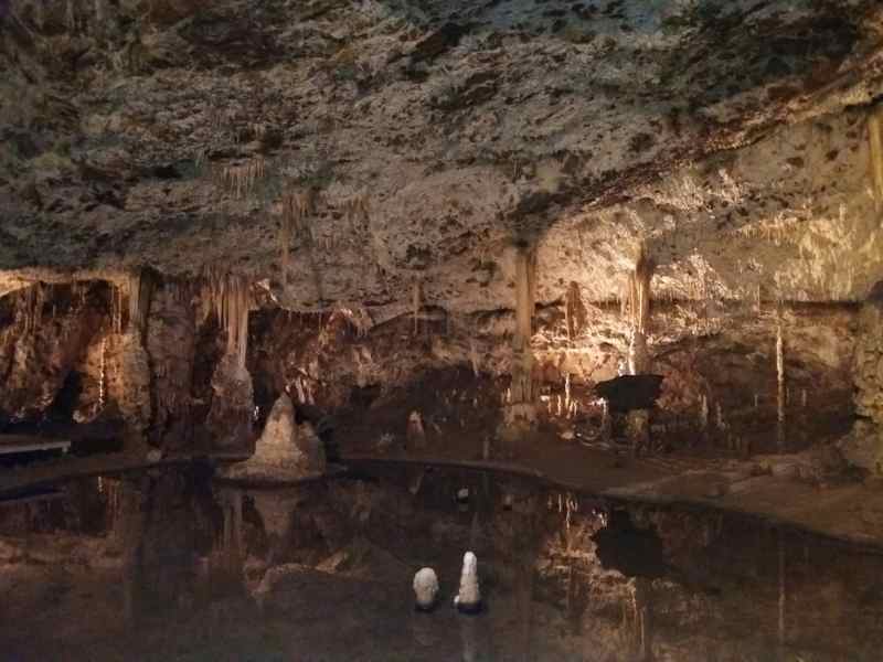 Wraz z grupą rolników oglądaliśmy stalagmity i stalaktyty w jaskini rzeki Punkvy na Morawach