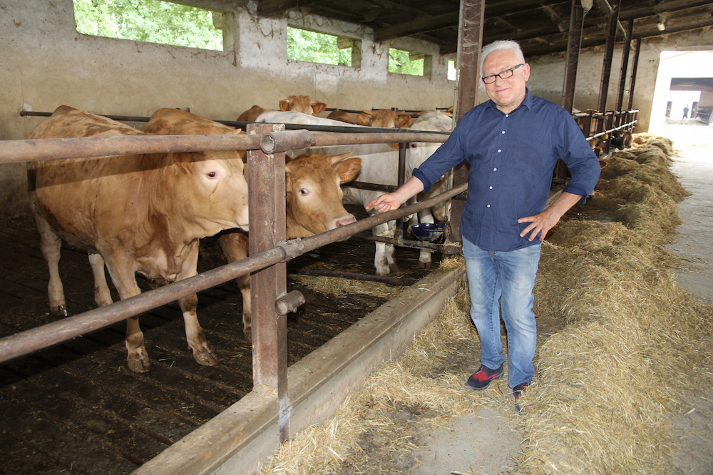 Włosi cenią sobie szczególnie mięso z jałówek, nieco bardziej otłuszczone. Jałówki otrzymują TMR wyłącznie z suchych komponentów, bez jakichkolwiek kiszonek. Pasza jest bardzo energetyczna, by zagwarantować szybki wzrost.