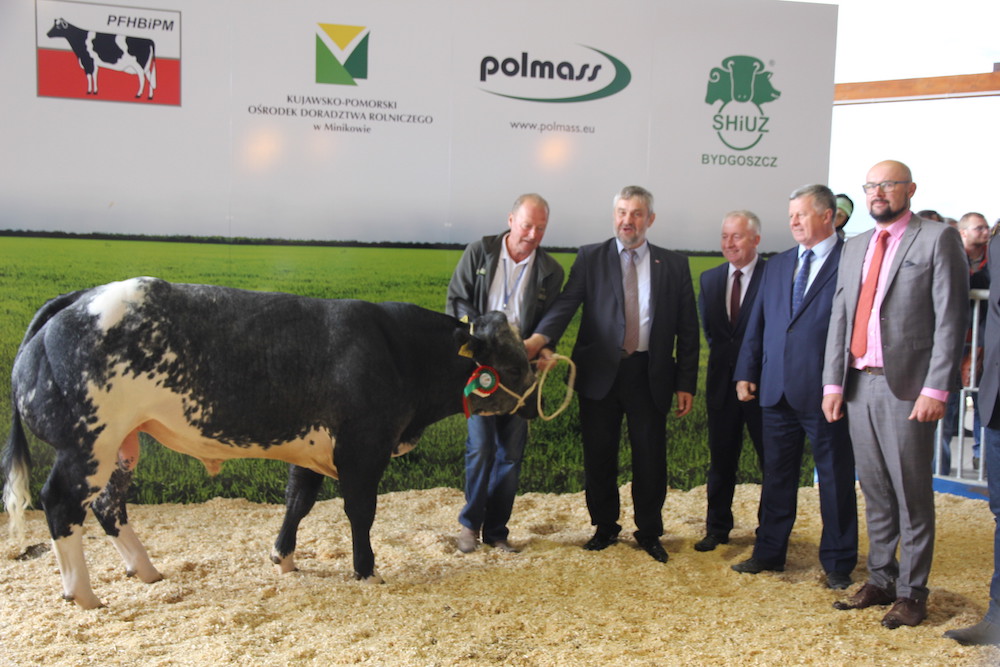 III Krajowa Wystawa Bydła Mięsnego – Minikowo 2018