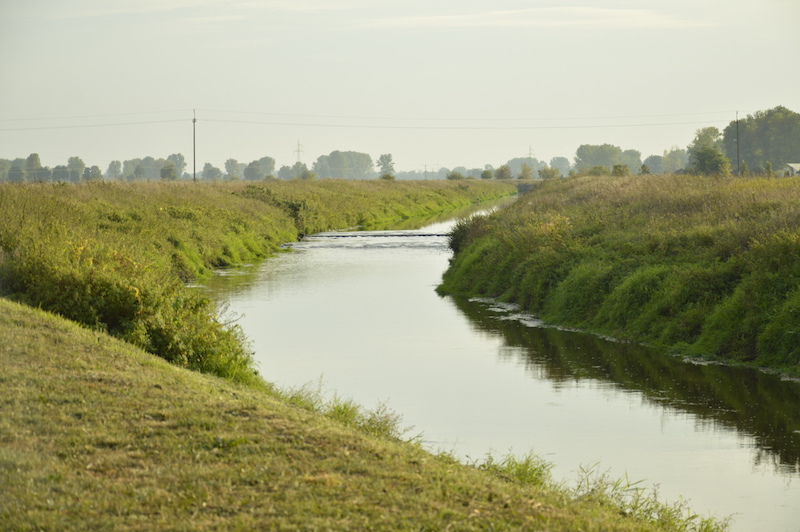 Rzeka Ner jeszcze niedawno była bardzo zanieczyszczona. Od kiedy dokonywane są zrzuty wody, życie biologiczne odbudowuje się.