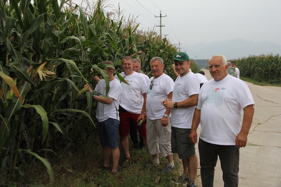 Nasi rolnicy podziwiali tegoroczną kukurydzę na polach Centrum Rozrodu – ale jak się dowiedzieliśmy ten rok w Chinach był wyjątkowo obfity w opady.