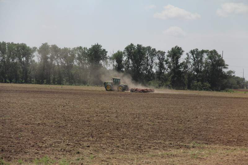 16.	W USA dominują systemy uroszczonej uprawy roli, głównie za pomocą agregatów do uprawy ściernisk czy przygotowania pola pod siew.