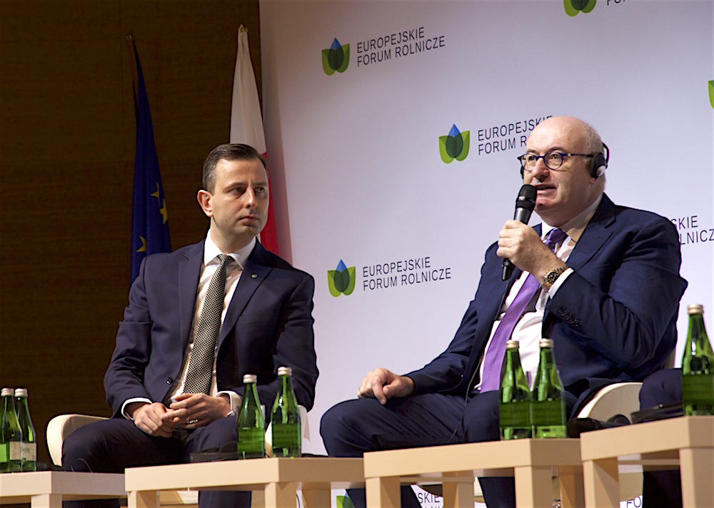 Debata w Jasionce: Kosiniak-Kamysz i Hogan.