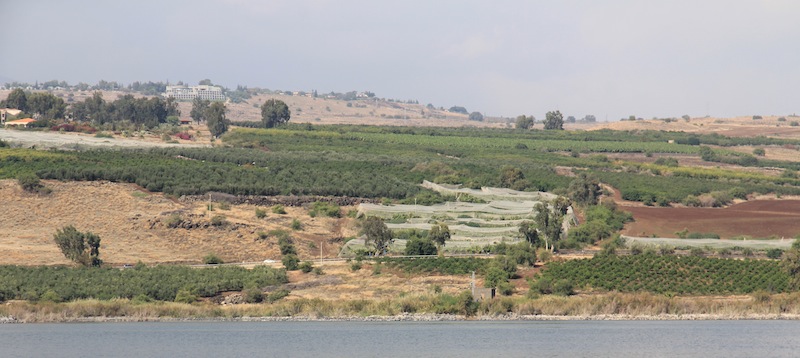 Sady i gaje oliwne na brzegach jeziora Galilejskiego.