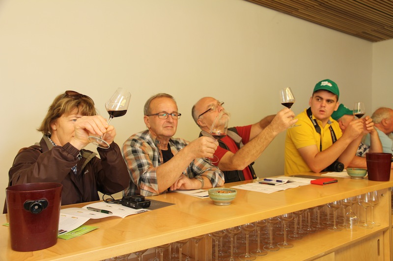 W winnicy na Wzgórzach Golan dowiedzieliśmy się jak rozpoznać dobre wino.