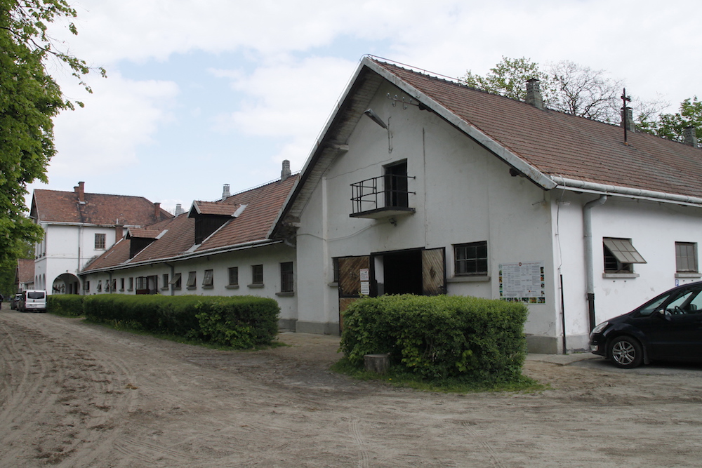 Fundacja Klikowska Ostoja Polskich Koni w Klikowej koło Tarnowa od 2014 r. dzierżawi od KOWR ośrodek edukacyjno hodowlany z olbrzymią końską tradycją.