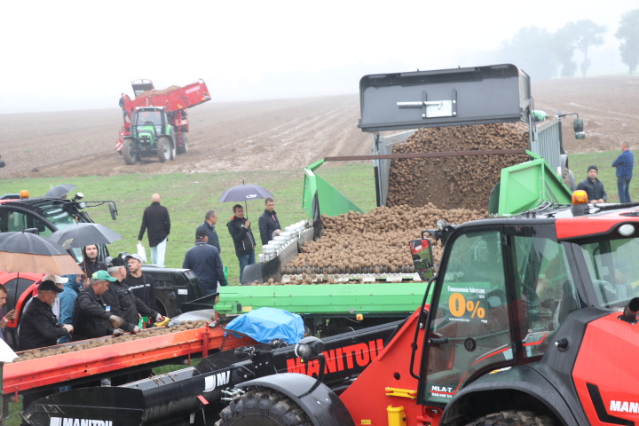 Potato Days Poland 2019 w Udaninie