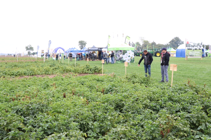 Potato Days Poland 2019 w Udaninie