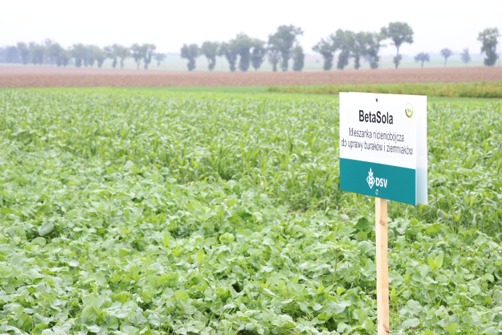 Potato Days Poland 2019 w Udaninie