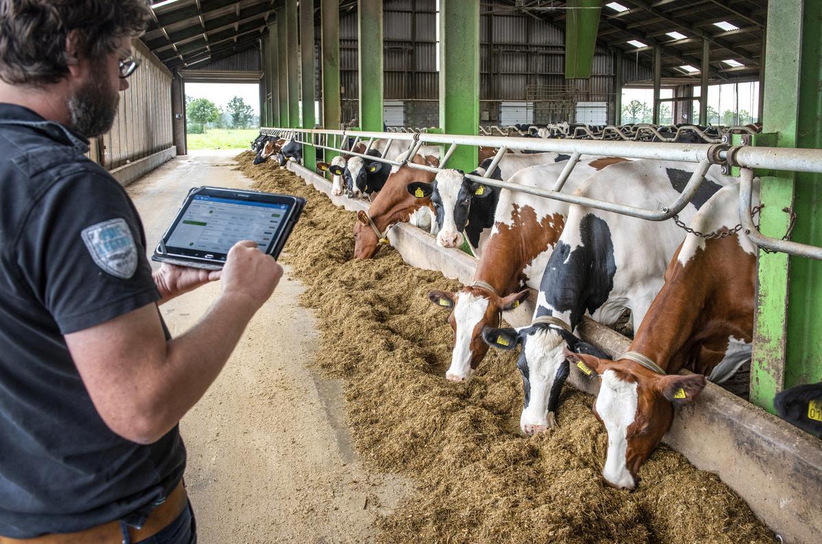 Opracowana przez firmę Topcon aplikacja TAP Feed zarządza karmieniem bydła, łącząc ważenie składników pasz z oprogramowaniem do zarządzania żywieniem.