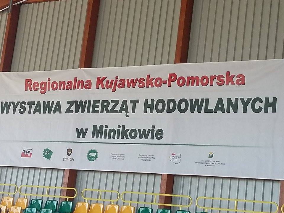 W Minikowie rozpoczęła się XVII Regionalna Kujawsko-Pomorska Wystawia Zwierząt Hodowlanych.