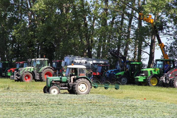 Uczniowskie pokazy polowe w Trzciance k. Opalenicy (woj. wielkopolskie) – 11.06.2015 r.