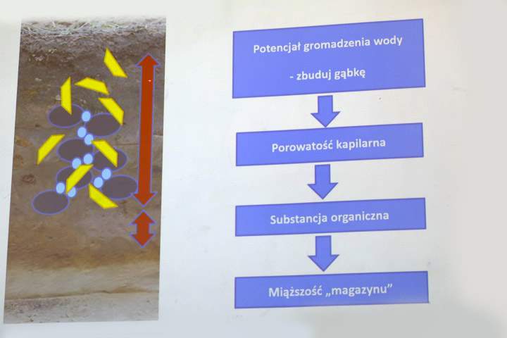 Jeden ze slajdów z wykładu prof. Tomasza Piskiera