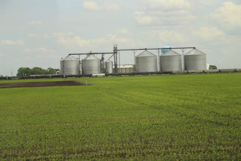 W Iowa kukurydza zajmuje ponad 60% areału