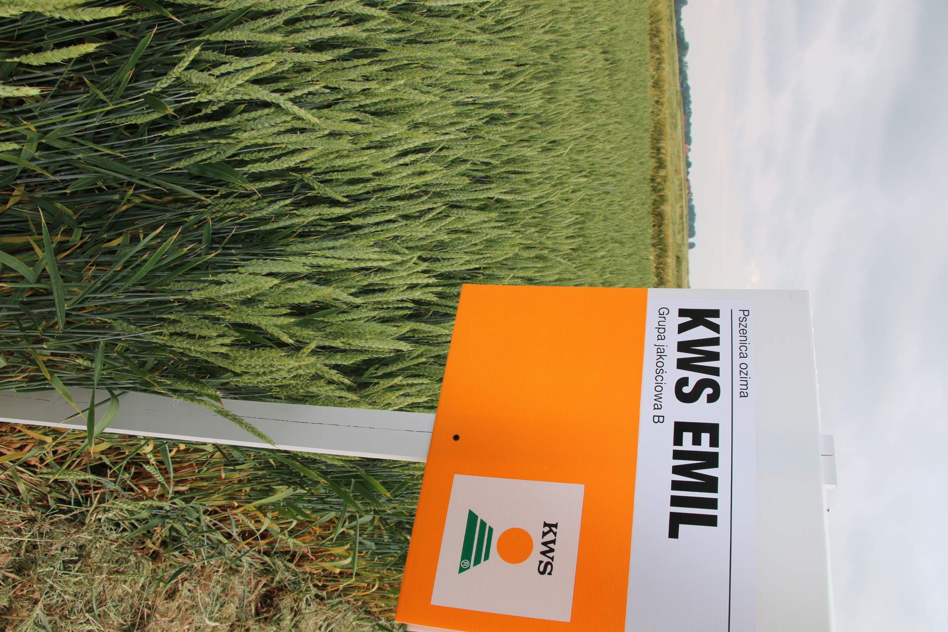Demo Farma KWS w Wybranowie