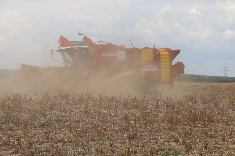 XXVII Krajowe Dni Ziemniaka Potato Poland 2020 w Lubkowie