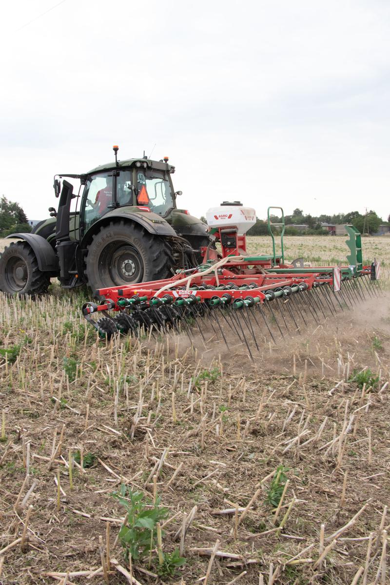 W przypadku maszyny Agro-Masz i Rolmako przednią sekcję roboczą stanowiły proste talerze z niewielką falą.