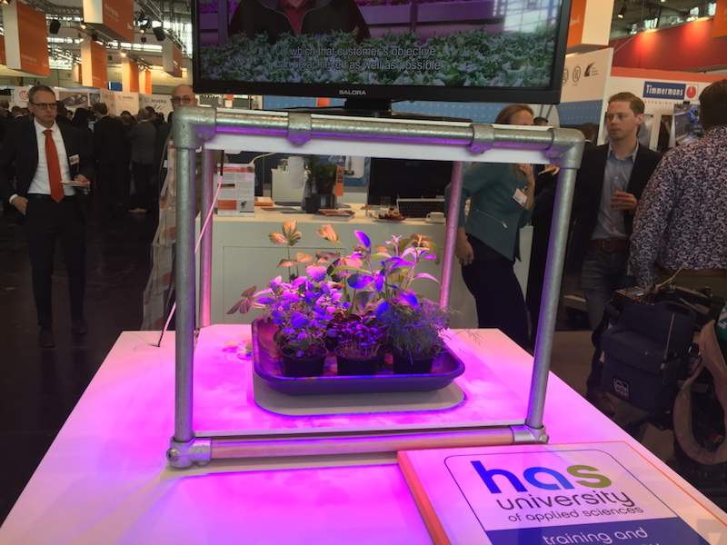 Hannover Messe - hydroponics z Holandii