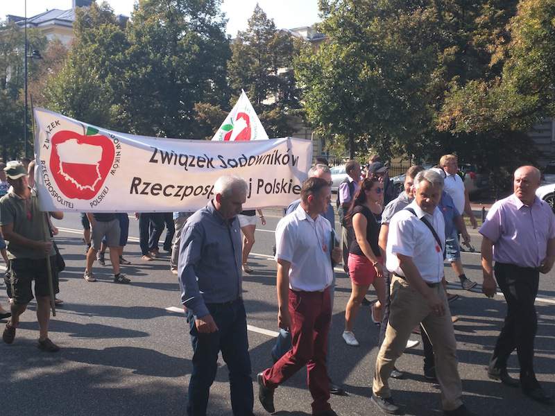 W poniedziałek ulicami Warszawy przeszła demonstracja Związku Sadowników RP protestujących przeciwko niskim cenom skupu jabłek przemysłowych.