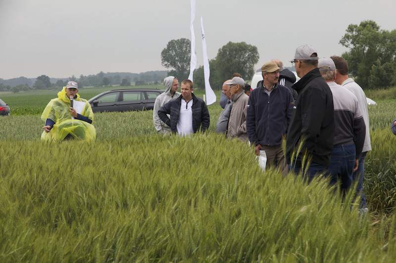 Dni Pola IGP Polska Gościejewo