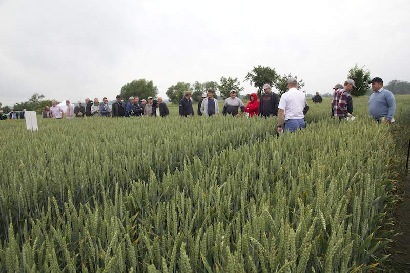 Dni Pola IGP Polska Gościejewo