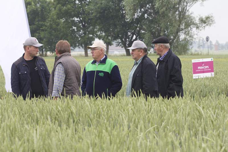 Dni Pola IGP Polska Gościejewo