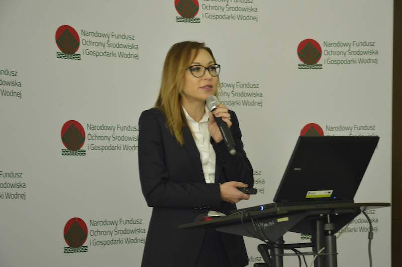 Joanna Król, NFOŚ