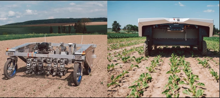 Roboty różnych producentów od marca tego roku pracowały na polach buraków cukrowych w zarządzanych ekologicznie i konwencjonalnie zakładach rolnych KWS w Wiebrechtshausen i Wetze (Niemcy).