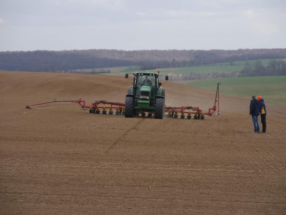 Kombinat Rolny Kietrz zasieje w tym roku 1500 ha buraków cukrowych.